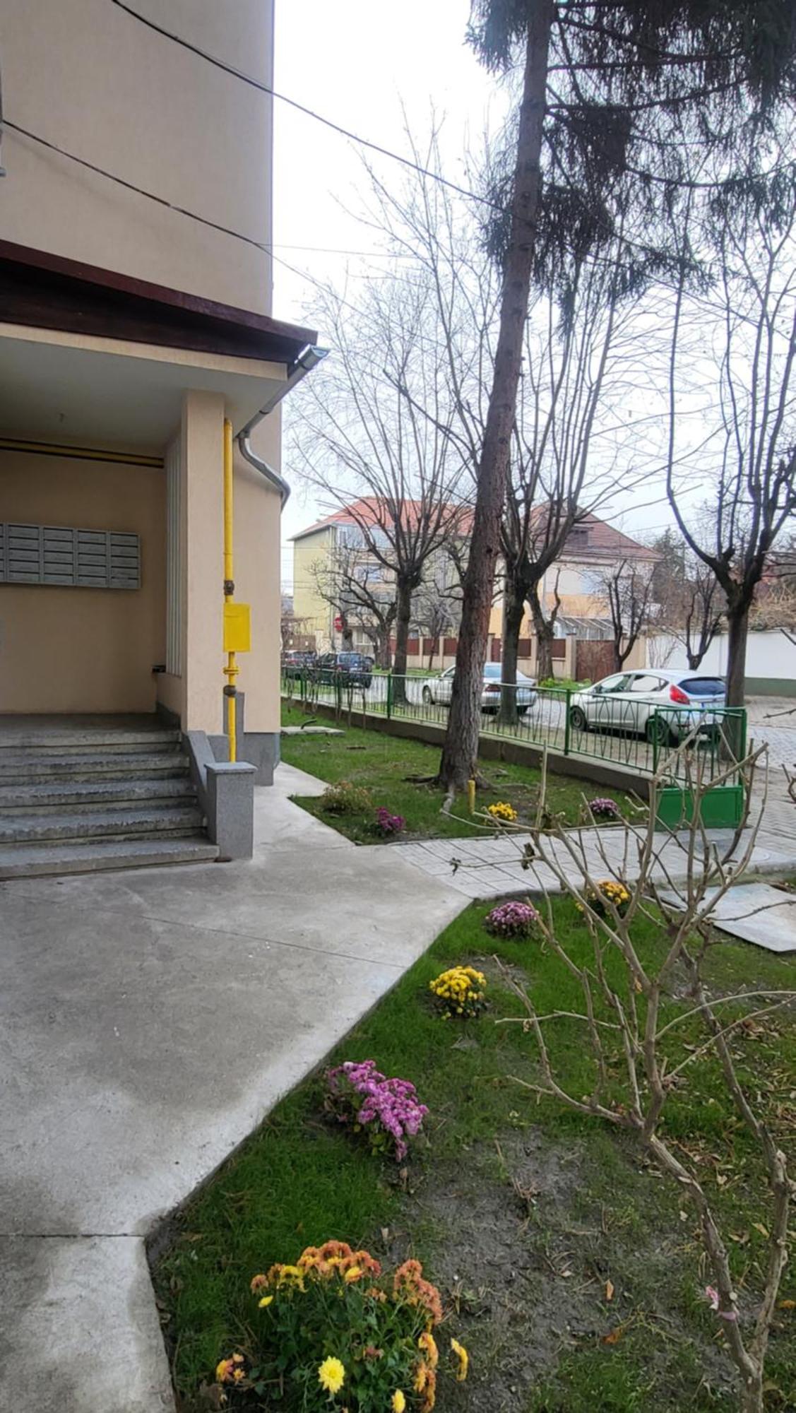 Helios Timisoara